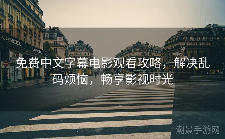 免费中文字幕电影观看攻略，解决乱码烦恼，畅享影视时光