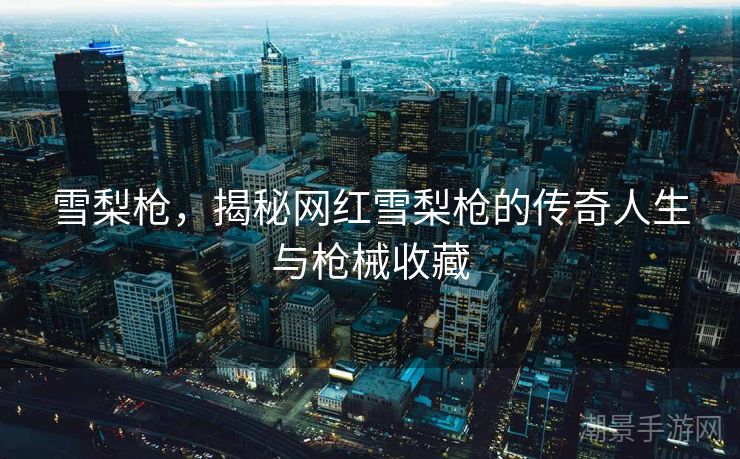 雪梨枪，揭秘网红雪梨枪的传奇人生与枪械收藏