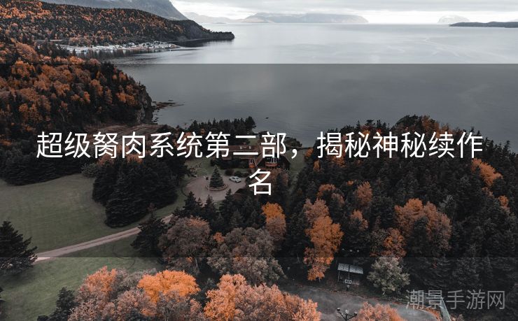 超级胬肉系统第二部，揭秘神秘续作名