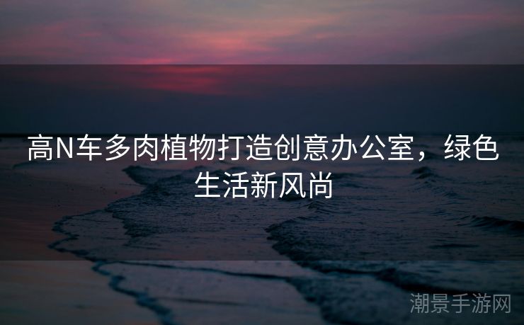 高N车多肉植物打造创意办公室，绿色生活新风尚
