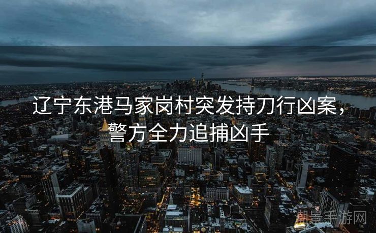 辽宁东港马家岗村突发持刀行凶案，警方全力追捕凶手