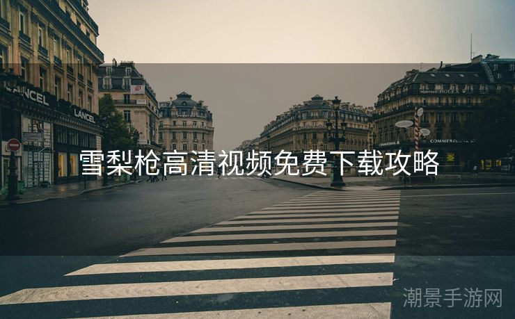 雪梨枪高清视频免费下载攻略