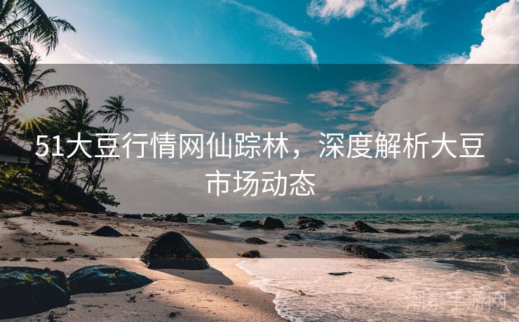 51大豆行情网仙踪林，深度解析大豆市场动态