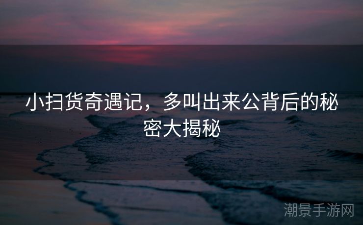 小扫货奇遇记，多叫出来公背后的秘密大揭秘
