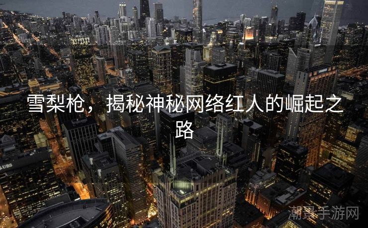 雪梨枪，揭秘神秘网络红人的崛起之路