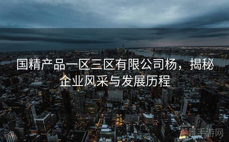 国精产品一区三区有限公司杨，揭秘企业风采与发展历程