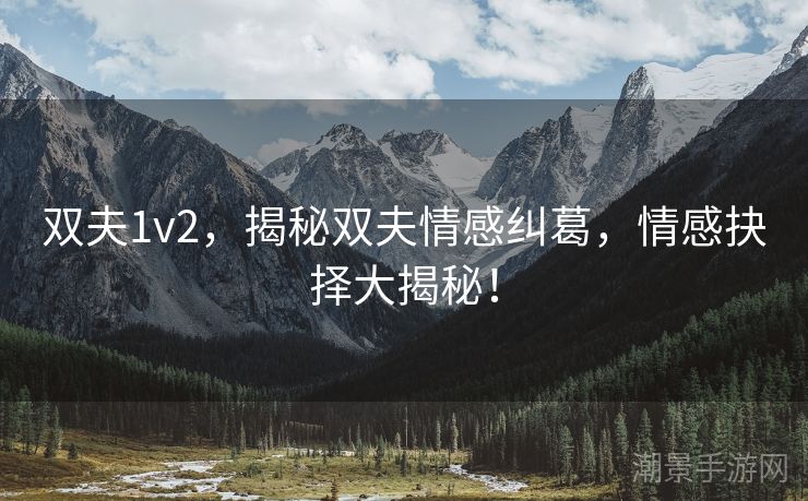 双夫1v2，揭秘双夫情感纠葛，情感抉择大揭秘！