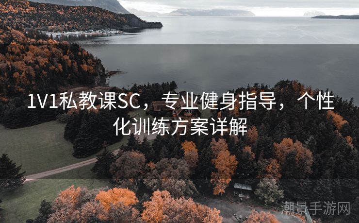 1V1私教课SC，专业健身指导，个性化训练方案详解