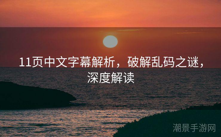 11页中文字幕解析，破解乱码之谜，深度解读