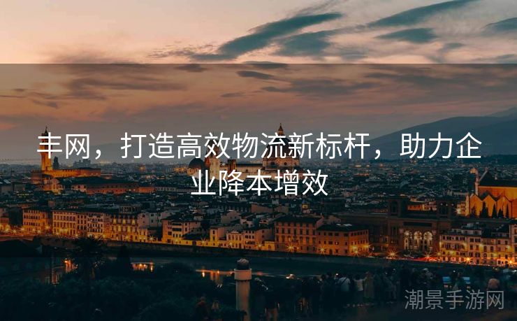 丰网，打造高效物流新标杆，助力企业降本增效