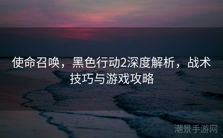 使命召唤，黑色行动2深度解析，战术技巧与游戏攻略