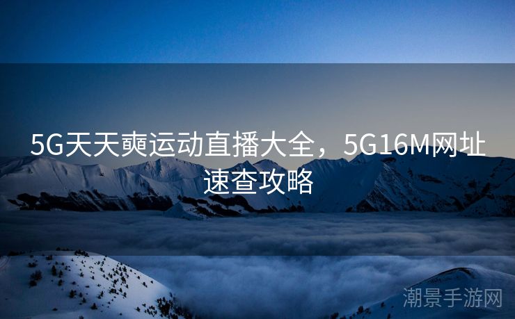 5G天天奭运动直播大全，5G16M网址速查攻略