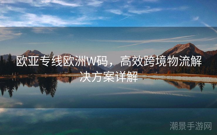 欧亚专线欧洲W码，高效跨境物流解决方案详解