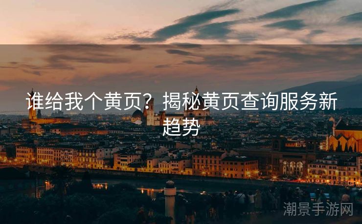 谁给我个黄页？揭秘黄页查询服务新趋势
