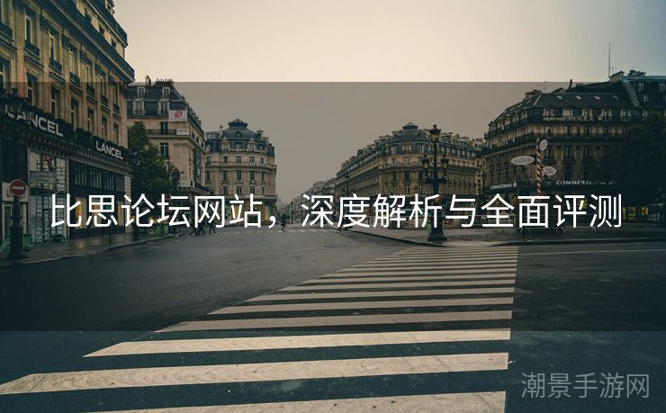 比思论坛网站，深度解析与全面评测