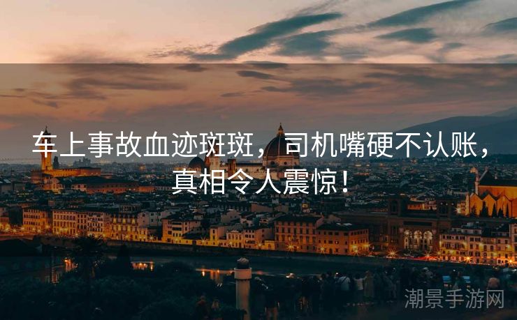 车上事故血迹斑斑，司机嘴硬不认账，真相令人震惊！