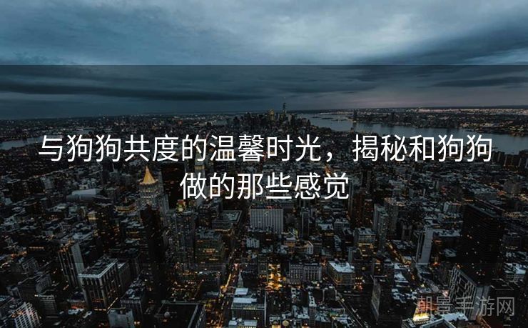 与狗狗共度的温馨时光，揭秘和狗狗做的那些感觉