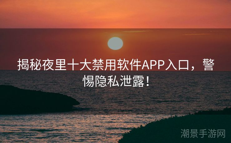 揭秘夜里十大禁用软件APP入口，警惕隐私泄露！