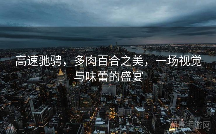高速驰骋，多肉百合之美，一场视觉与味蕾的盛宴