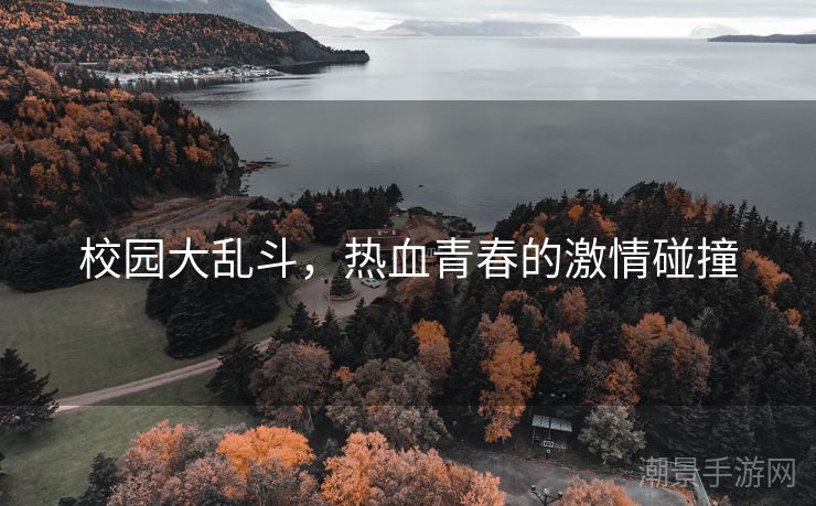 校园大乱斗，热血青春的激情碰撞