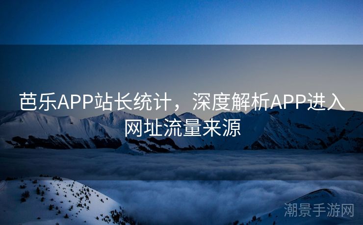 芭乐APP站长统计，深度解析APP进入网址流量来源