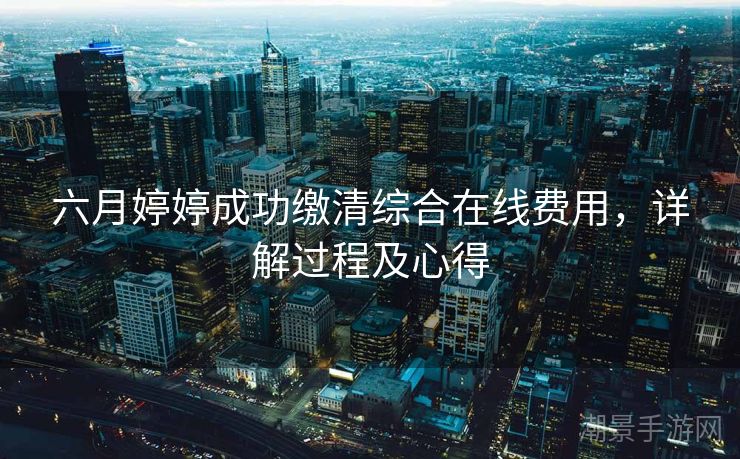 六月婷婷成功缴清综合在线费用，详解过程及心得