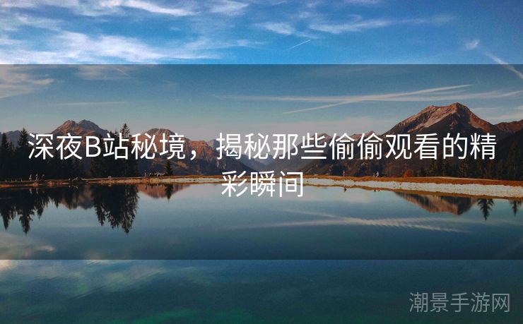 深夜B站秘境，揭秘那些偷偷观看的精彩瞬间