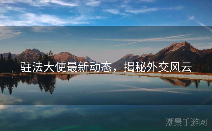 驻法大使最新动态，揭秘外交风云
