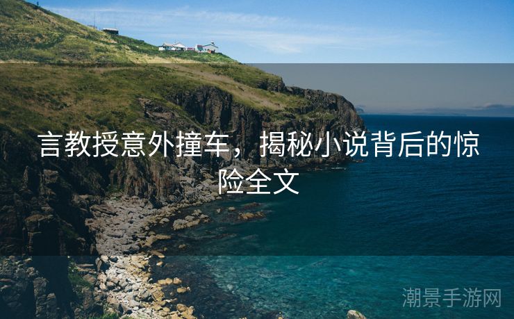 言教授意外撞车，揭秘小说背后的惊险全文
