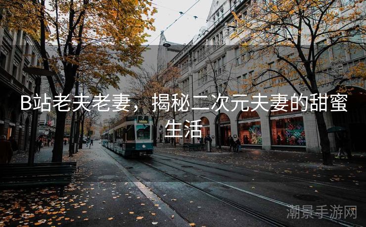 B站老夫老妻，揭秘二次元夫妻的甜蜜生活