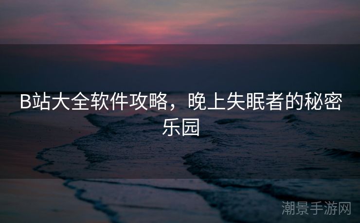 B站大全软件攻略，晚上失眠者的秘密乐园