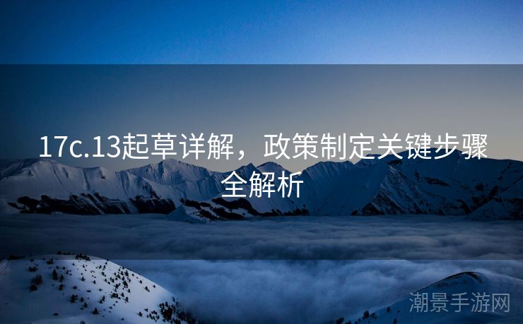 17c.13起草详解，政策制定关键步骤全解析