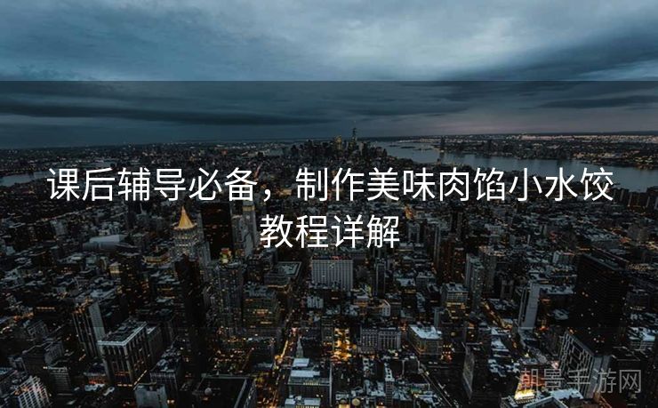 课后辅导必备，制作美味肉馅小水饺教程详解