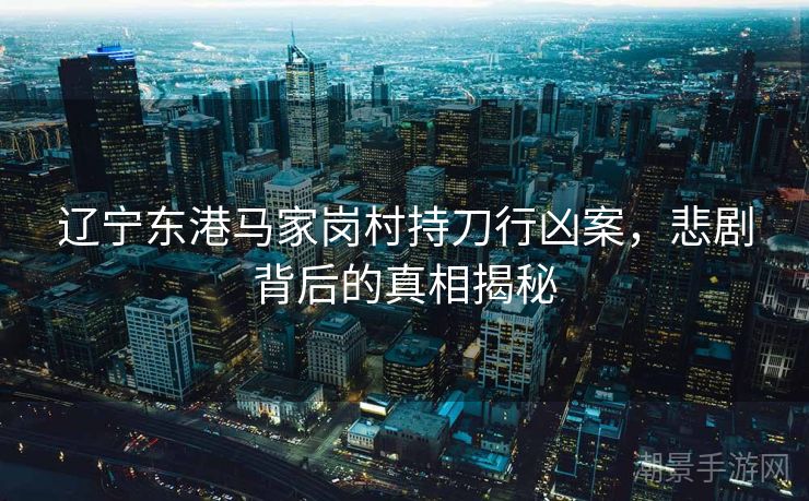 辽宁东港马家岗村持刀行凶案，悲剧背后的真相揭秘