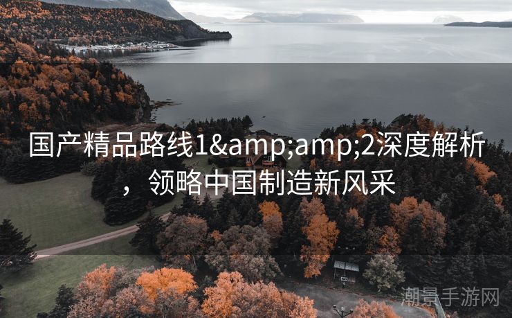 国产精品路线1&amp;2深度解析，领略中国制造新风采