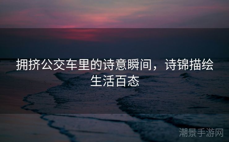 拥挤公交车里的诗意瞬间，诗锦描绘生活百态