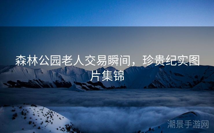 森林公园老人交易瞬间，珍贵纪实图片集锦
