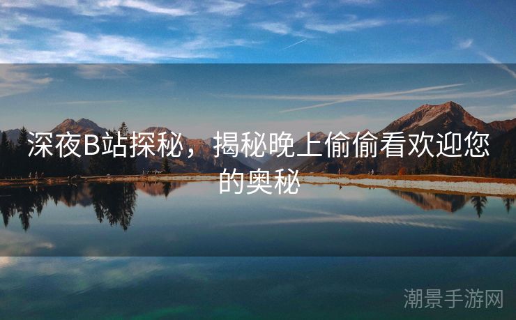 深夜B站探秘，揭秘晚上偷偷看欢迎您的奥秘