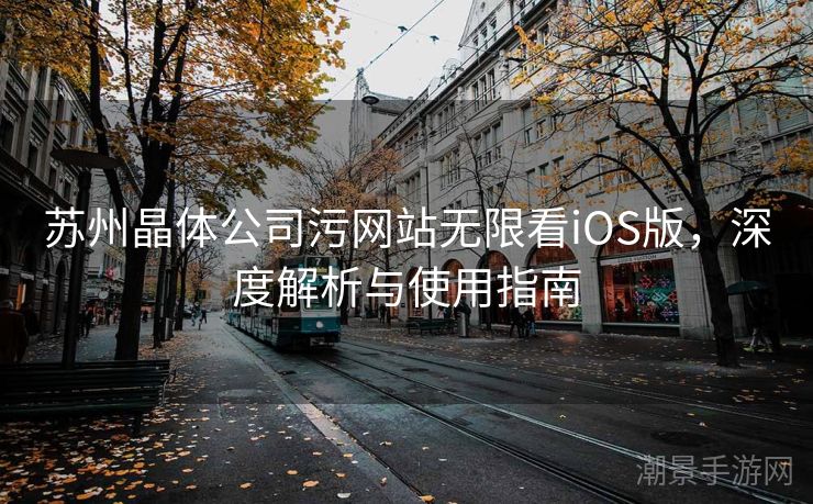 苏州晶体公司污网站无限看iOS版，深度解析与使用指南