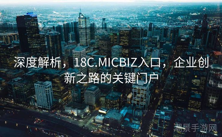 深度解析，18C.MICBIZ入口，企业创新之路的关键门户