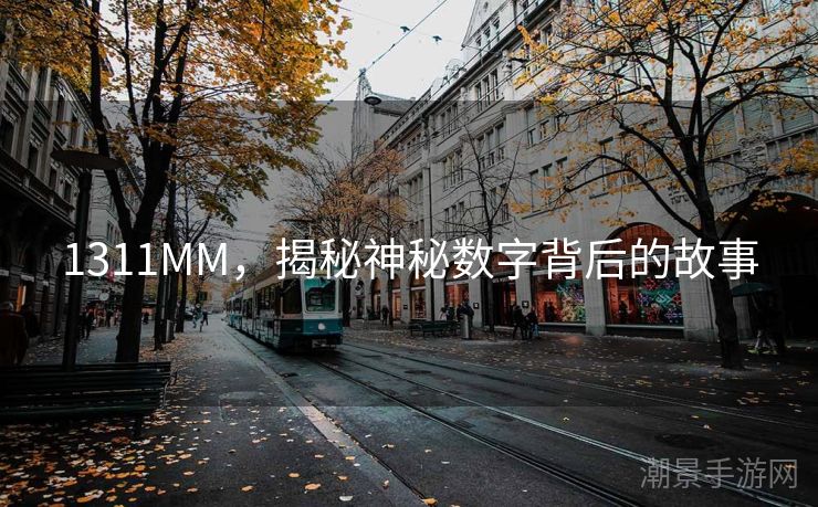 1311MM，揭秘神秘数字背后的故事