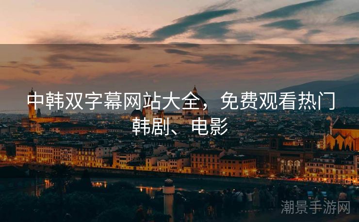 中韩双字幕网站大全，免费观看热门韩剧、电影