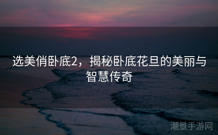 选美俏卧底2，揭秘卧底花旦的美丽与智慧传奇