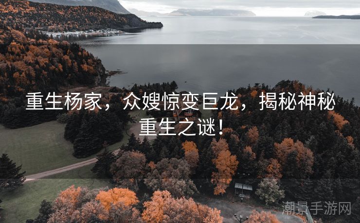 重生杨家，众嫂惊变巨龙，揭秘神秘重生之谜！