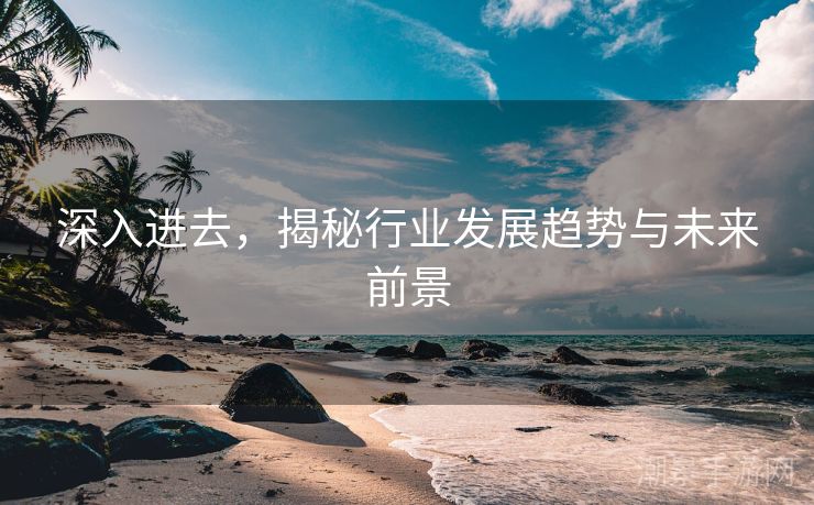 深入进去，揭秘行业发展趋势与未来前景