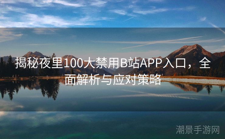 揭秘夜里100大禁用B站APP入口，全面解析与应对策略