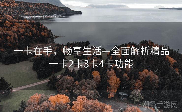 一卡在手，畅享生活—全面解析精品一卡2卡3卡4卡功能