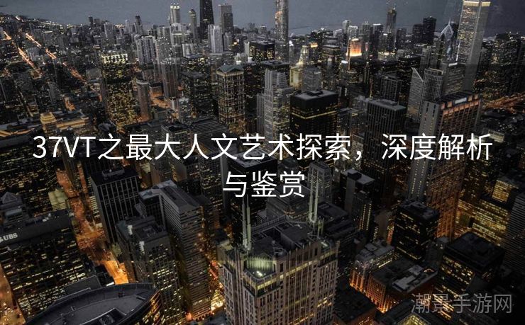 37VT之最大人文艺术探索，深度解析与鉴赏