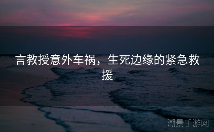 言教授意外车祸，生死边缘的紧急救援