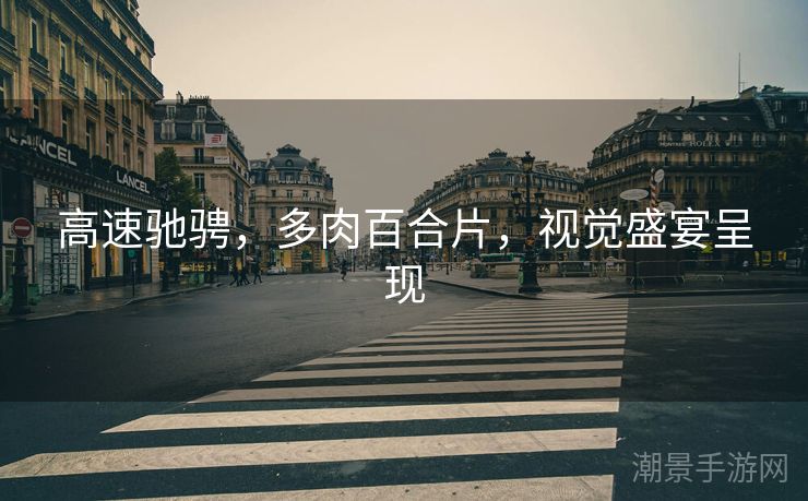 高速驰骋，多肉百合片，视觉盛宴呈现